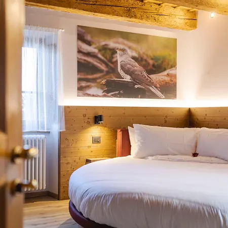 Granduca Mountain Wellness Apartments Campigna-2